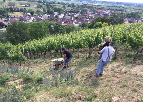 Arbeiten am lberg