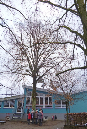 2013-02 P1050140#
