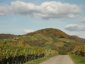 lberg Ehrenkirchen