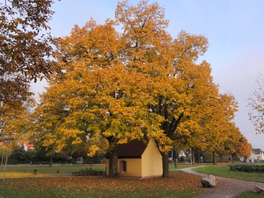 Schcherkapelle Ehrenkirchen
