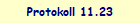 Protokoll 11.23
