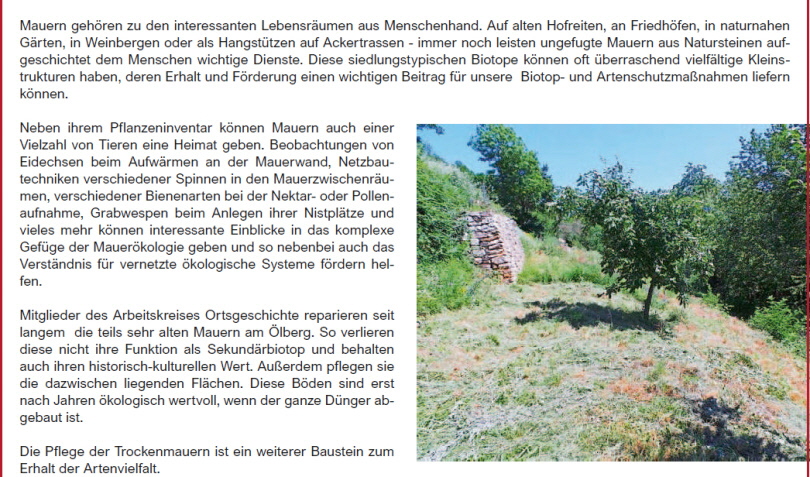 2020 lbergpflege 3