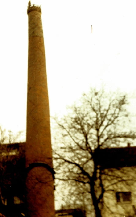 Ziegelei Kirchhofen