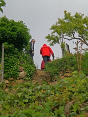 Heimweg