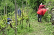 Team an der Arbeit