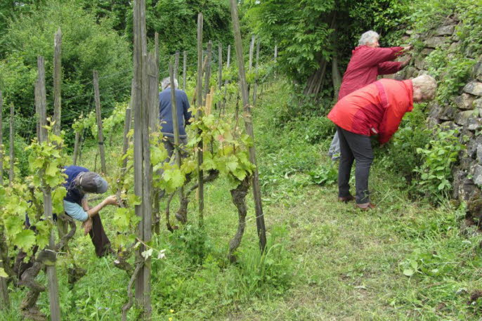 Team an der Arbeit